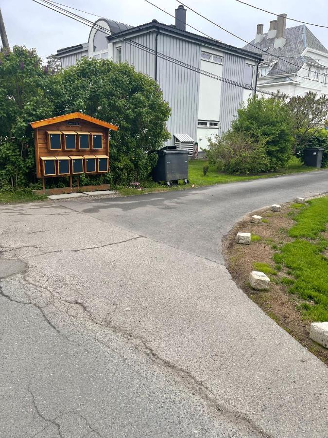 Nice Apartment With1 Bedroom Separate Living Room With A Sofa Bed And A Tiny Kitchen A Bathroom Located In Nordstrand Near By The Sea For 3 Guests With A Garden And Grill 5 Extra Guests With Extra Cost In The Cabin With Sea View Just Outside The Apar Oslo Luaran gambar